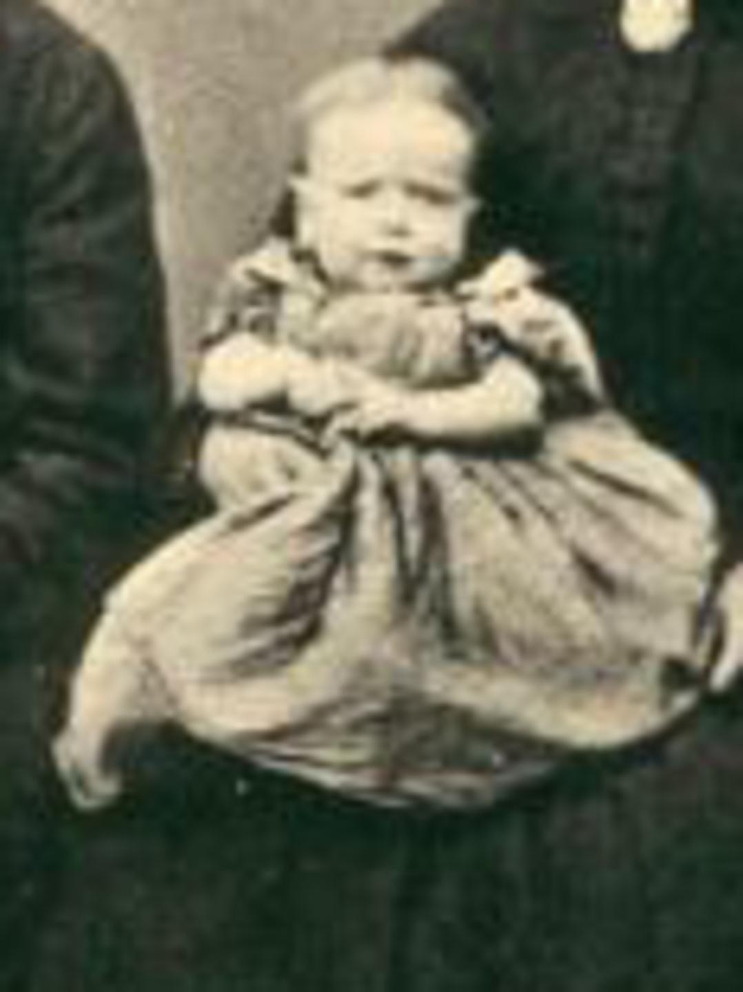 Emily Todd (1865 - 1943) Profile